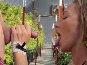 Drinking His Piddle + Smoking Regarding Weed Garden-variety Outdoor Public Farmers Wife