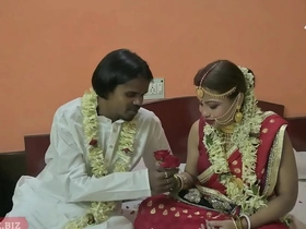 Desi Indian Wedding Artful Night Sexual intercourse